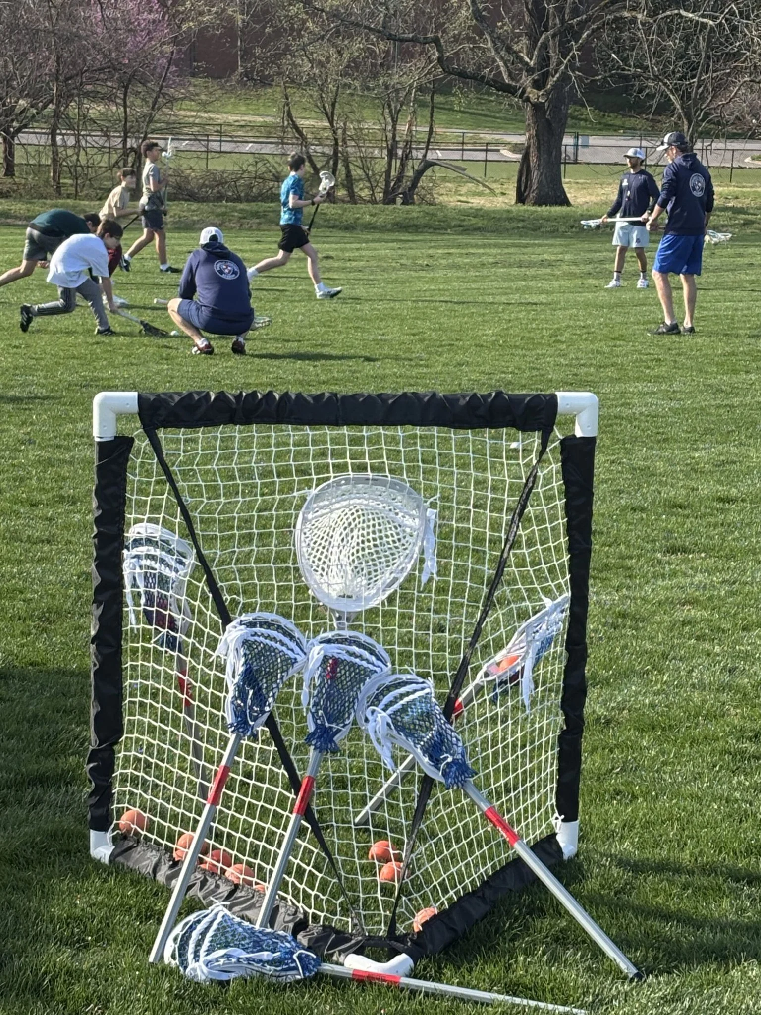 Nashville Lacrosse Academy - Clinics Basics